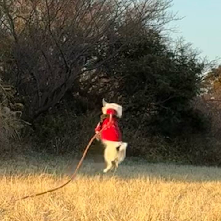 12e0df2b b09b 4452 960a 9b514142de0f 1768549808594