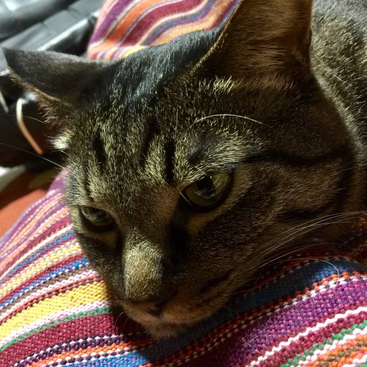 12e1068a 7ab9 4bb7 b9fb e70e835f165c 1566715382253