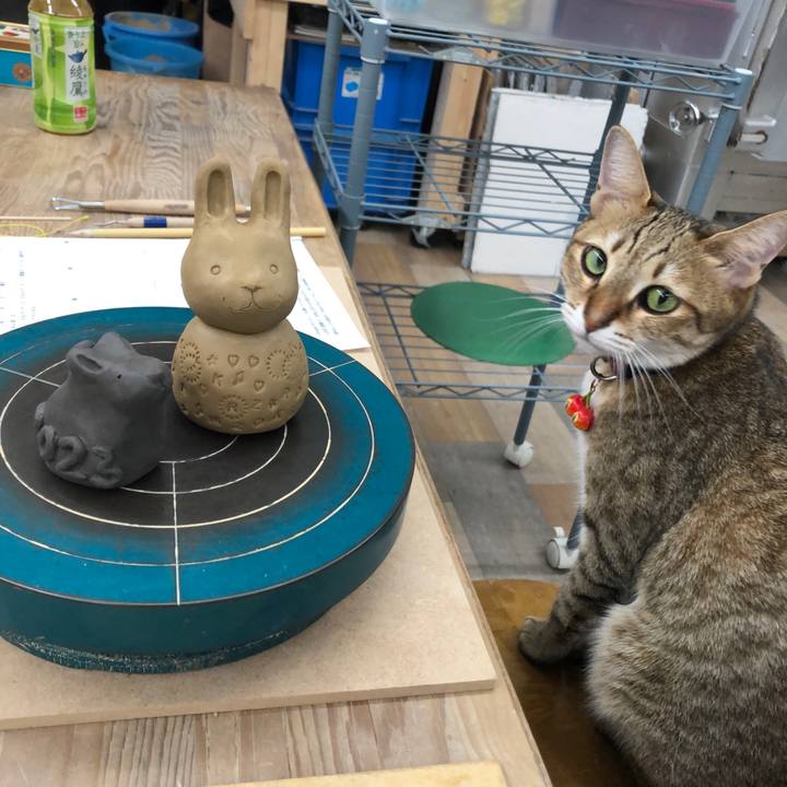 12e10a7e 4e82 4221 8bba c5cbb8d2f5bb 1665755283963