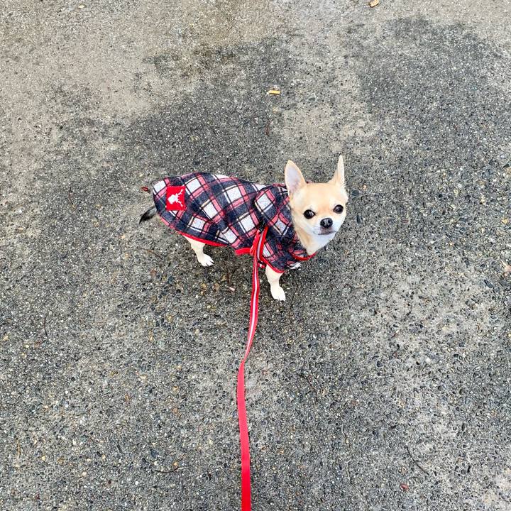 12e11a20 2555 47bb 85f0 91086454cd65 1615614557696