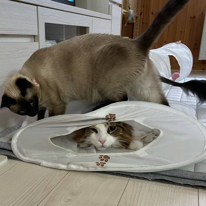 12e14255 5a0a 4663 95b2 24cedb5481f5 1719221501488