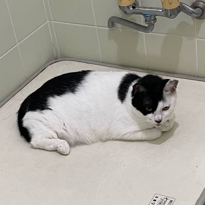 12e1a07a 18f9 4241 a852 3b95d2534e38 1758667553745