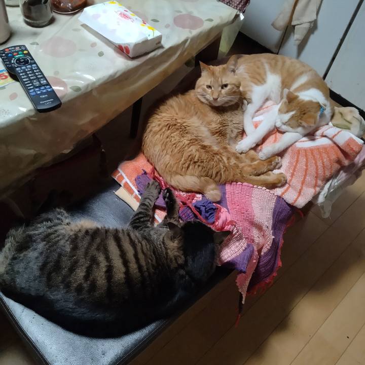 12e1b3f0 aaf0 4df9 9ac8 bdab77251d0d 1739001715476