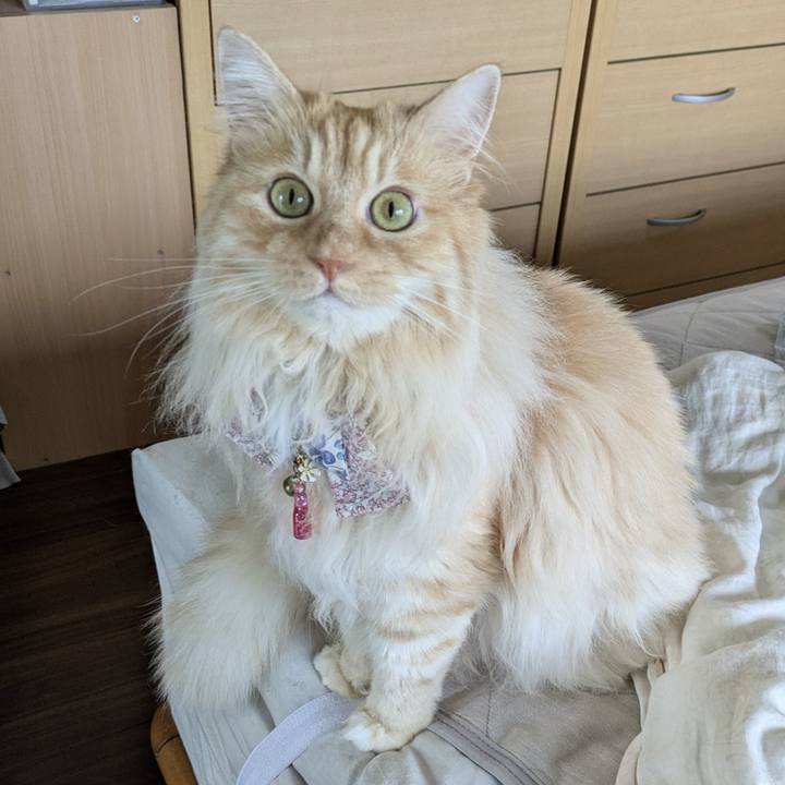 12e1b5e5 9ee6 412d 850b 924b60e666ff 1750466985901