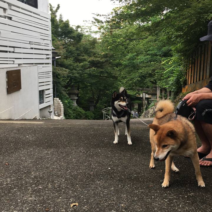 12e21991 eb3b 4b19 907b e9f32975ca21 1625195641217