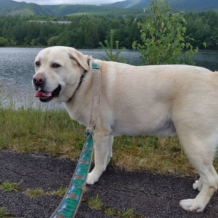 12e22e3d 68df 4580 b426 bf757cad7143 1692700964933