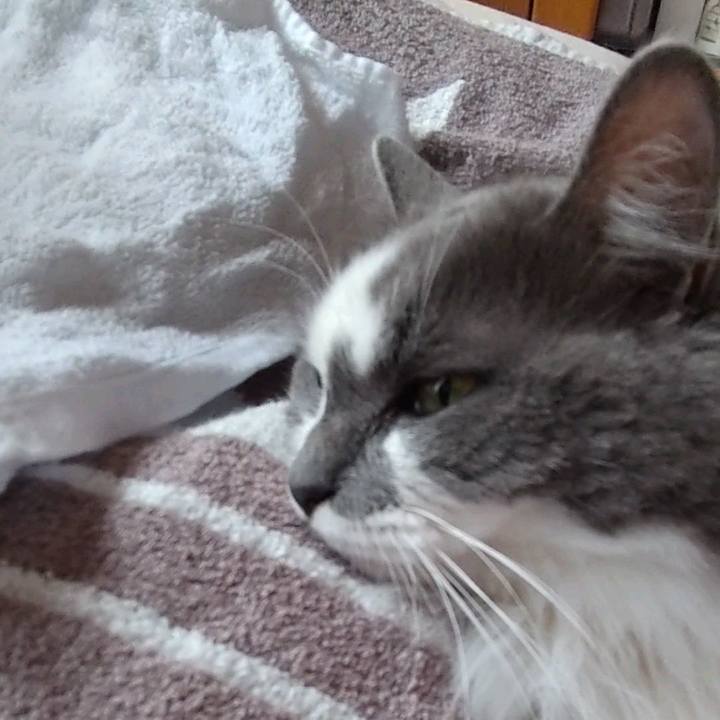 12e23228 2695 4837 90c3 72f7bf823725 1624232681486