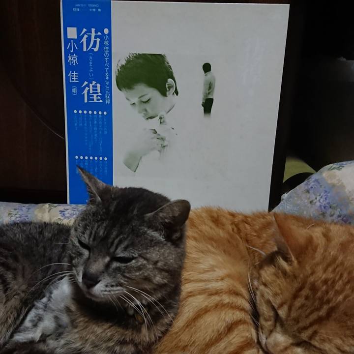 12e23676 28f6 4e83 abd5 cd196e865905 1590149975872