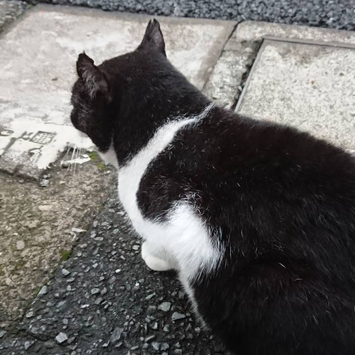 12e269fd 4511 491a 81c7 893d9aec7691 1697357972973