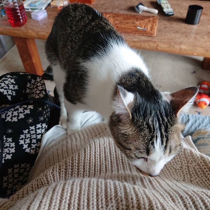 12e26ef7 871e 474a be5a 837816dd342a 1648895101707