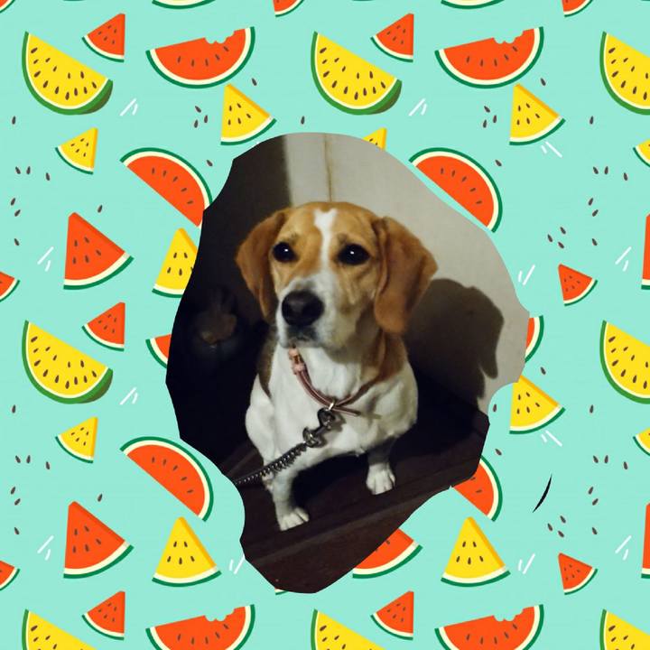 12e2725d 9e6d 48a2 bf71 d0154e812729 1591282871870