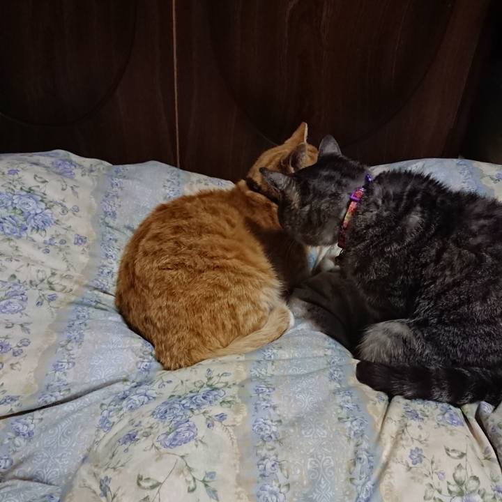 12e288f9 f49f 40c0 b12b fa0dd2e677ae 1588766455541