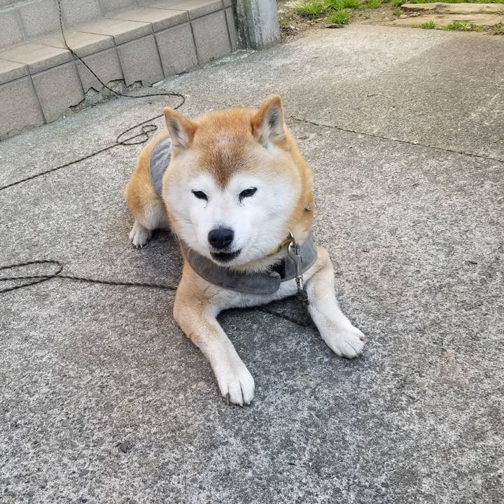 12e2c3b1 791a 4c8d 8f19 51be80f50975 1680515965598