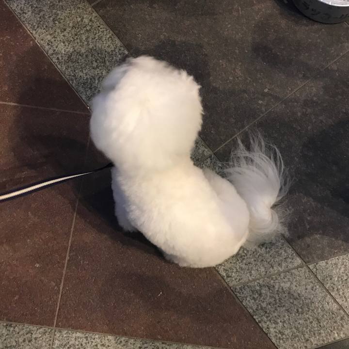 12e2e58f 5e21 4c9d a360 75ddd25ddd6f 1528404144275