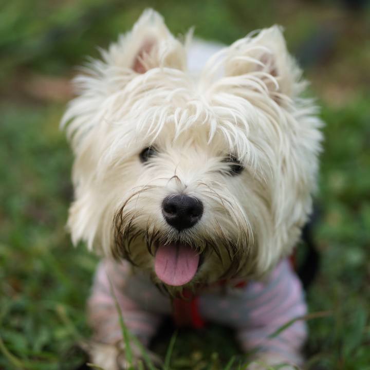 12e2f707 e58c 4656 bd02 c30973b71945 1528112105394