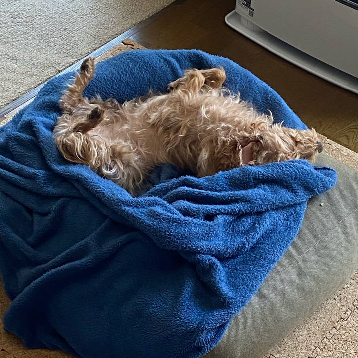 12e30169 c933 4007 bf82 8f2a3d7cb0a2 1673145939296