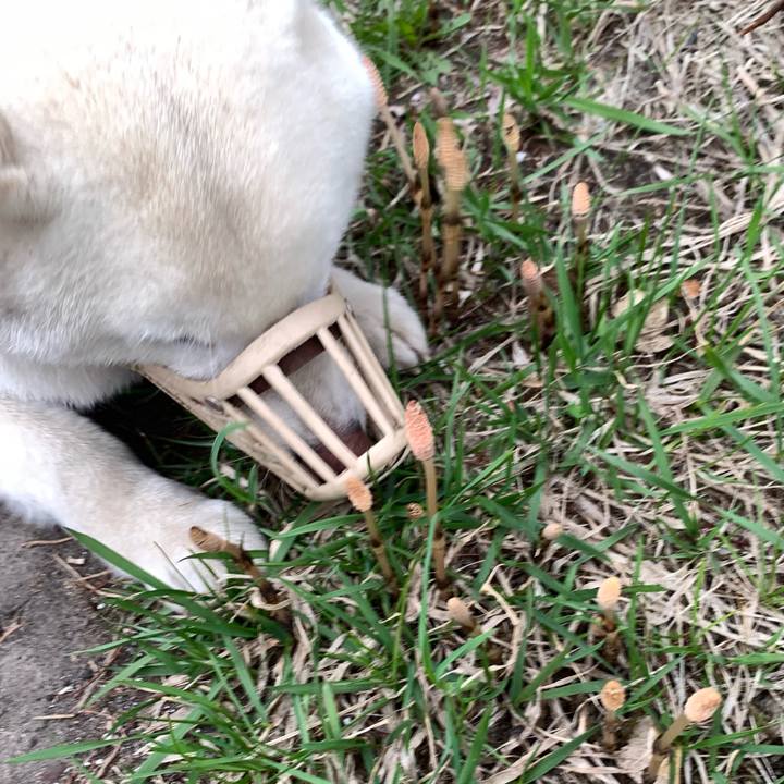 12e30264 e389 45b8 959f 9f282a2c63ae 1650575565737