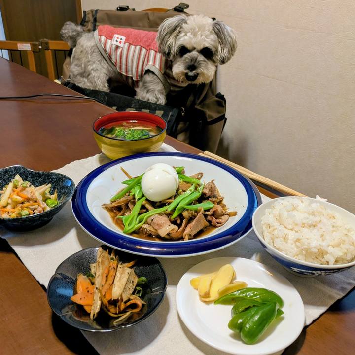 12e3dac3 9887 474b 9bdd 1b1c90e96af8 1761309478830