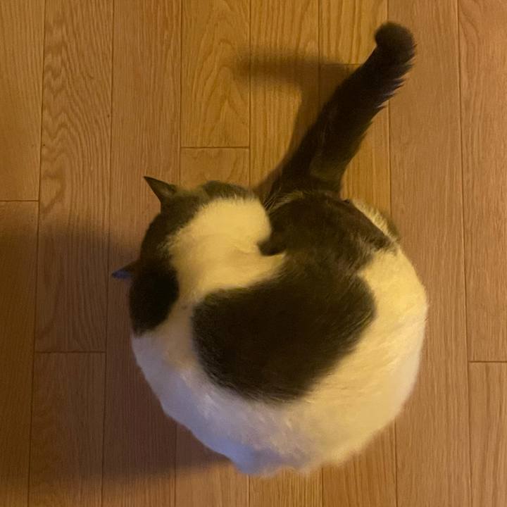 12e3f387 1f54 4cd4 9250 6331bb1de88d 1738362728954