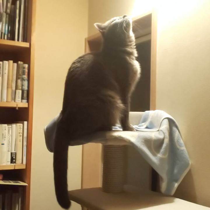 12e404e0 7970 45b3 9db1 d167bfea4e8b 1558653609723