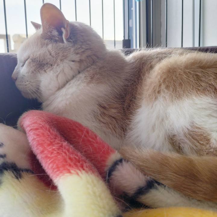 12e43a1d b31d 49e8 94d9 77b357d0e069 1685226528706