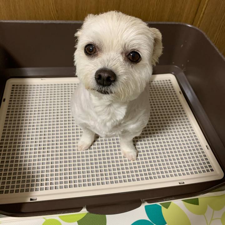 12e43f69 08b5 4eaa b5ee 2ee3367168fa 1621513181068