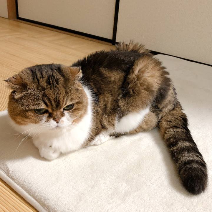 12e450f8 ad2d 4206 b649 b36df145b8cc 1598277249210