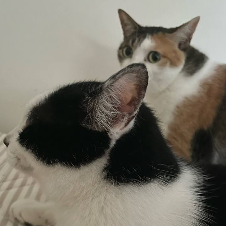 12e4b017 aff8 48bb ac94 9ace66653873 1657703981760