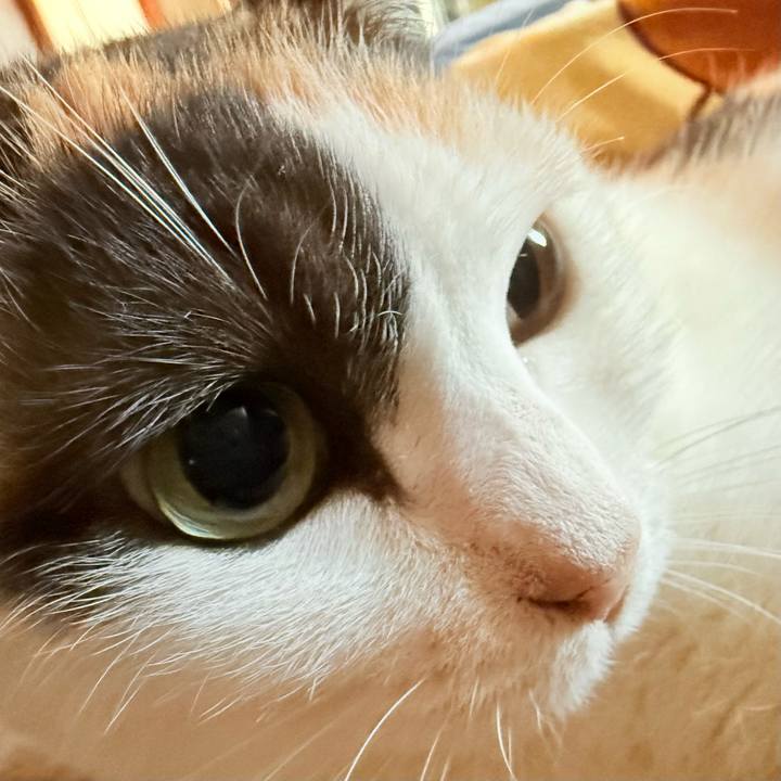 12e53d9c 3c83 4bf5 85ee 2829d88c915f 1734746055463