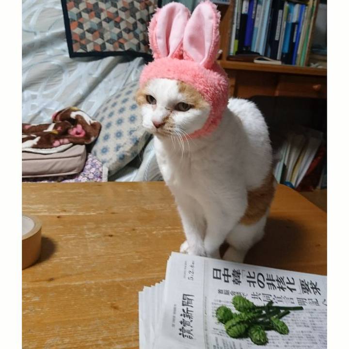 12e53f77 e1a6 4ff0 9de0 68496e6cc09b 1525249800782