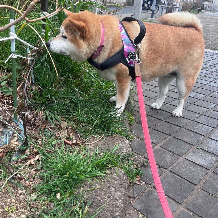 12e54225 1c08 4cb9 a31c aae55bd04850 1708313151233