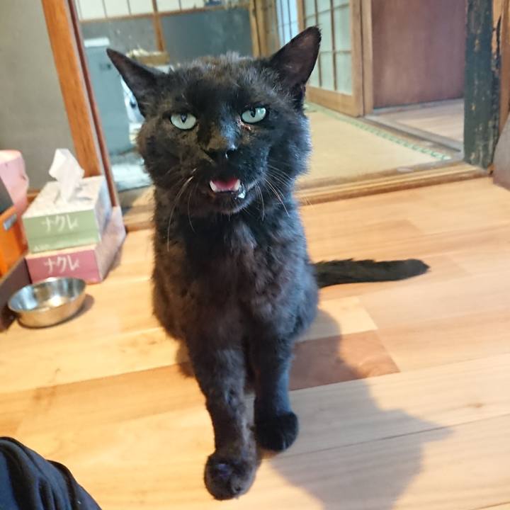 12e5695e b8cd 49d6 ad4b 85b429f0564c 1623319768474