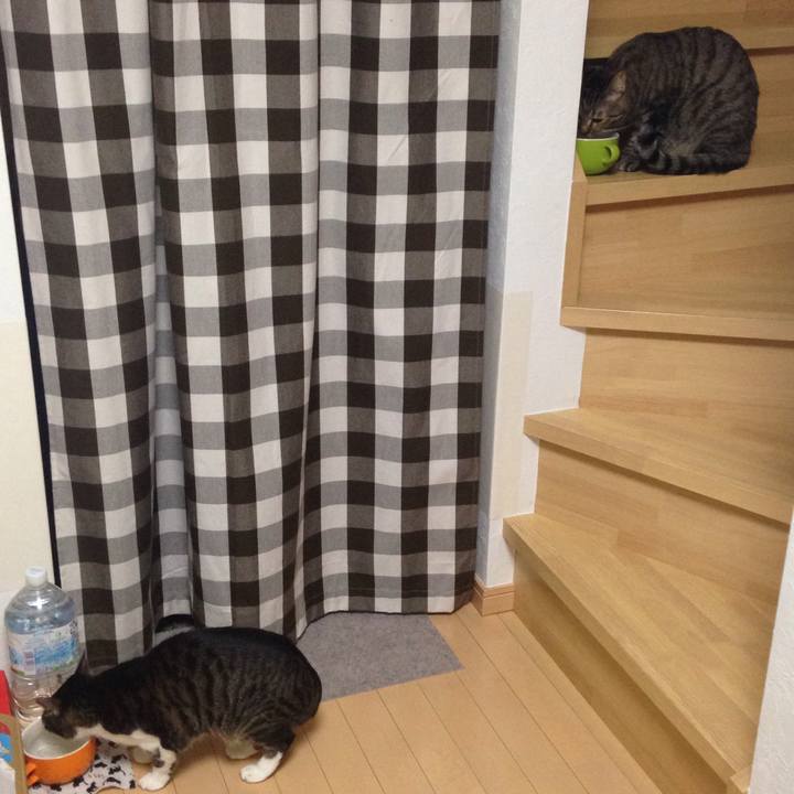 12e57483 76e8 4a64 9909 47a6f0a390a9 1513625759709