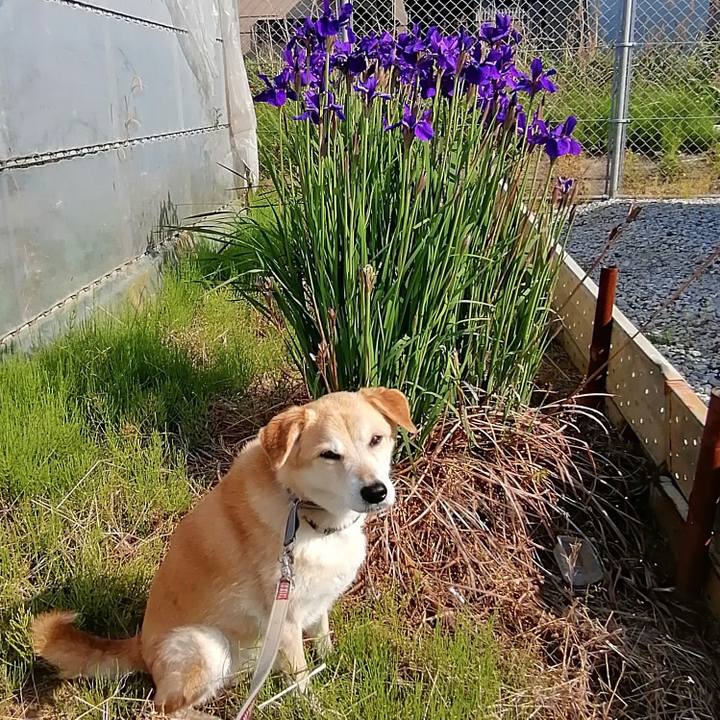 12e5c7ea 6a58 4cc0 aa22 29d23300e391 1588314563998