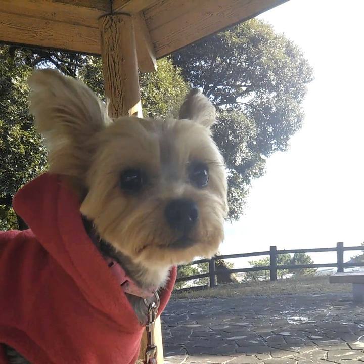 12e5ceef bcf5 4ba1 a78c af7e5998eb2e 1577796941180