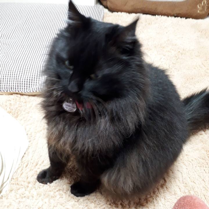 12e61237 a77e 4e67 9297 3df6c12cfac5 1523945188837