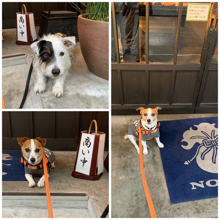 12e62154 b4b8 401e 9651 8131eed82426 1601096545973