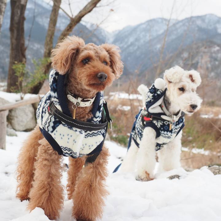 12e636bd 1a2a 46d6 8098 754262c38619 1548627838203