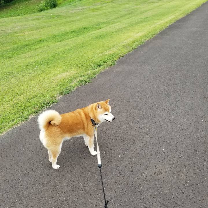 12e64e4a 6145 4e11 8b21 27069c77fbd9 1624517990693