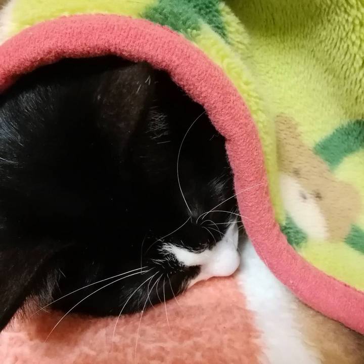 12e65412 016c 4b95 bbe8 c2df03d3da55 1575001730091