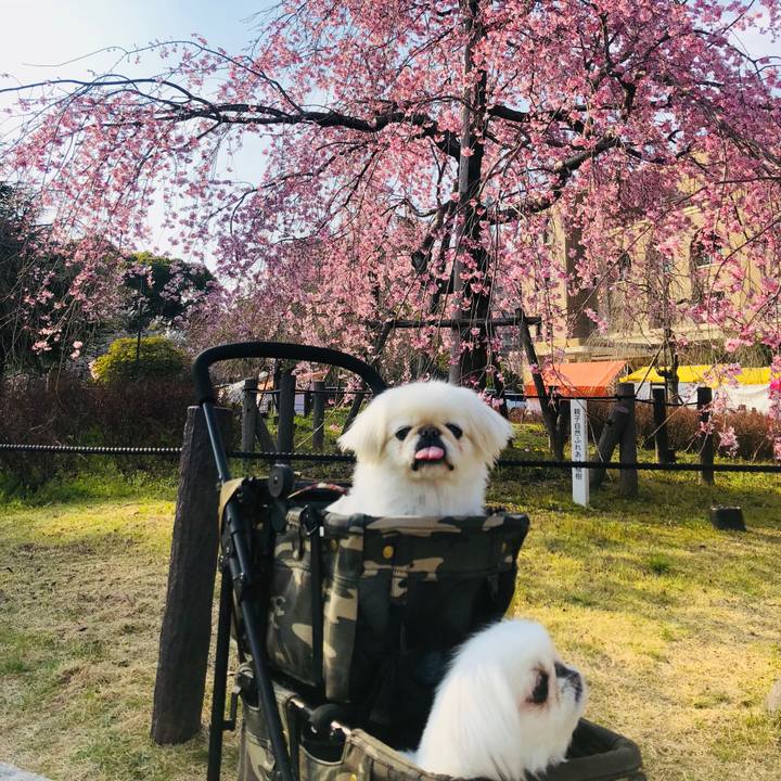 12e69223 bbf1 42bd 867b 7cc9817b3665 1616752450122