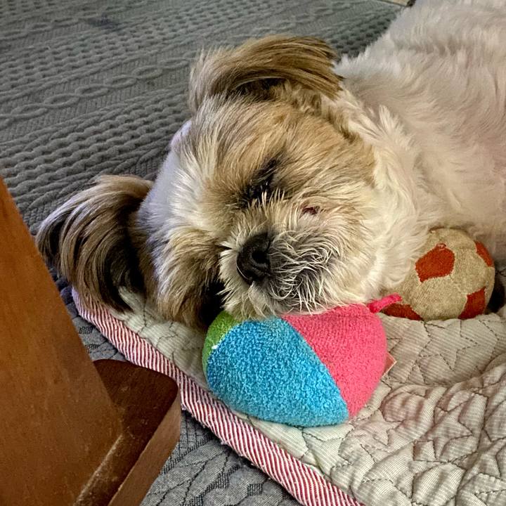 12e69e3b ea21 42d4 90eb 3c4a285fb9c3 1629630526599