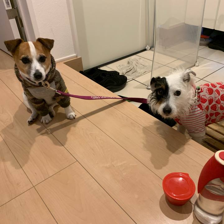 12e69f76 aca1 4323 a2ea b45d6381adef 1616659889118