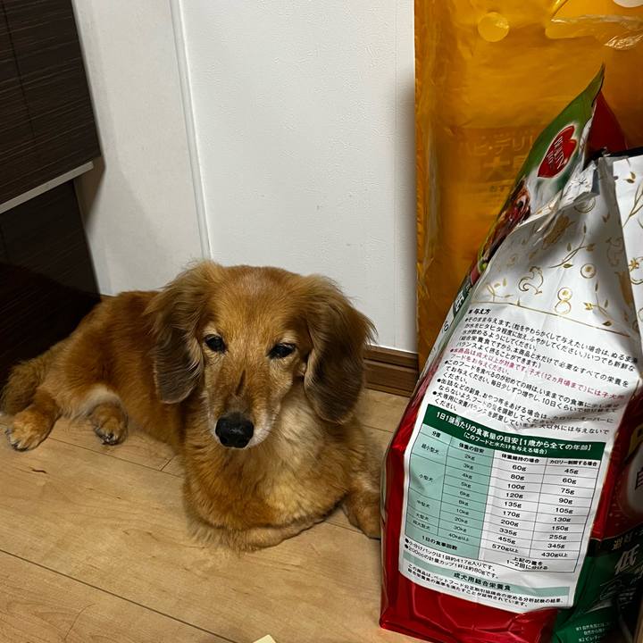 12e6e07f a755 4e3c aa0d 4b847fa3ae1d 1652701448178