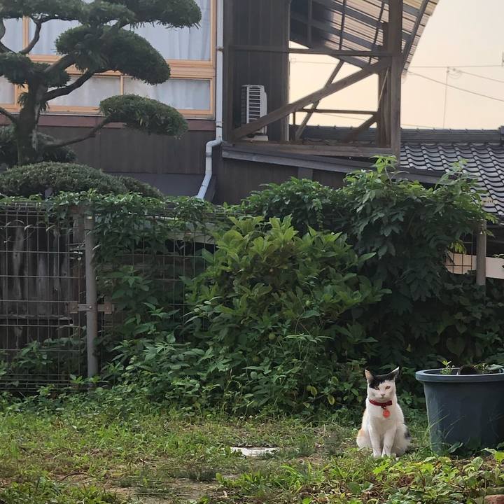 12e6f294 82de 41c1 a805 fa811cd0c163 1632350764296