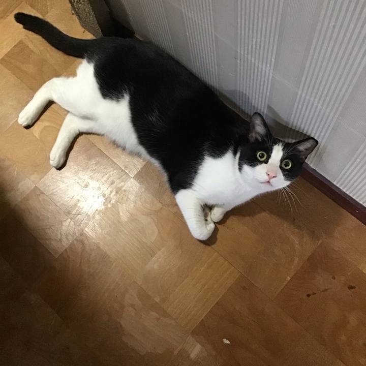 12e714ae 2062 45f8 9dd9 844194190647 1718621209883