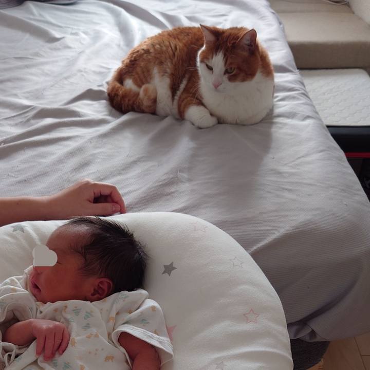 12e7167b d8e1 46a9 b5d7 3708a05c83e2 1706920333894