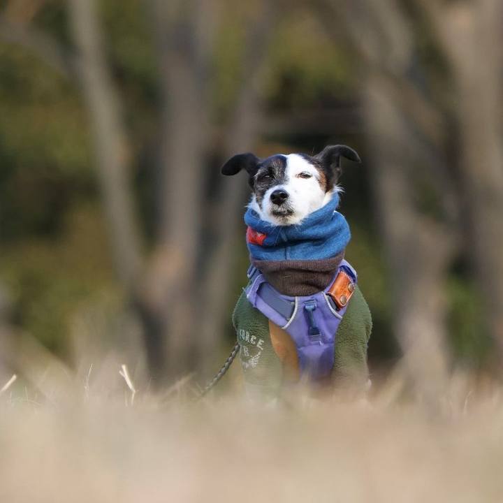 12e7177d 1e0d 4d7b 8ab4 68c1c84cef91 1735987845584