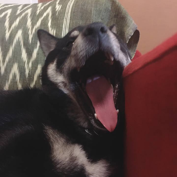 12e76c3d cc8f 4d81 8ae5 b9d4fd01d420 1522942206065