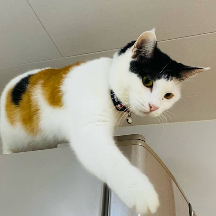 12e76f73 4795 469e 973b 853037b94aa6 1669117872327